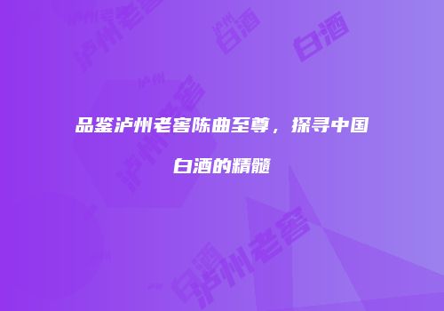 品鉴泸州老窖陈曲至尊，探寻中国白酒的精髓