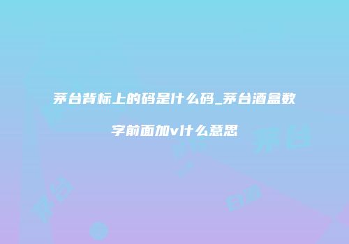 茅台背标上的码是什么码_茅台酒盒数字前面加v什么意思