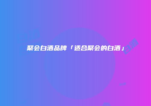 聚会白酒品牌「适合聚会的白酒」