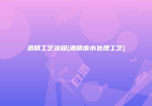 酒精工艺流程(酒精废水处理工艺)
