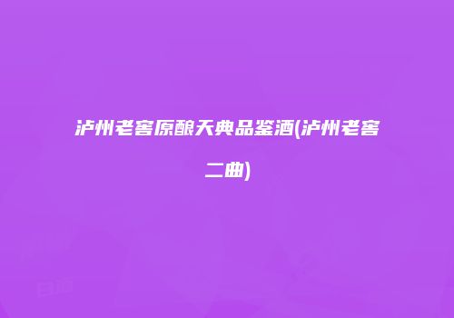 泸州老窖原酿天典品鉴酒(泸州老窖二曲)
