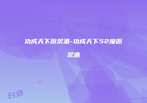 功成天下原浆酒-功成天下52度原浆酒