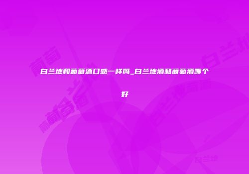 白兰地和葡萄酒口感一样吗_白兰地酒和葡萄酒哪个好