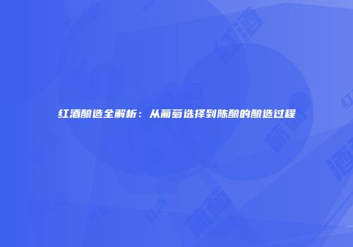 红酒酿造全解析：从葡萄选择到陈酿的酿造过程