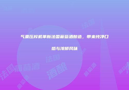 气囊压榨机革新法国葡萄酒酿造，带来纯净口感与浓郁风味
