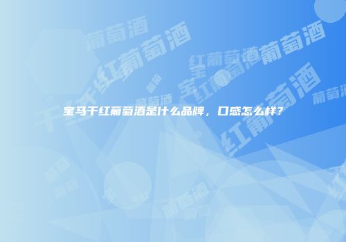 宝马干红葡萄酒是什么品牌，口感怎么样？