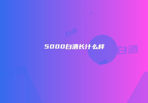 5000白酒长什么样