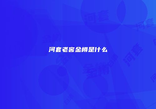 河套老窖金樽是什么