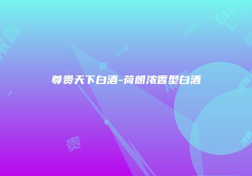尊贵天下白酒-荷朗浓香型白酒