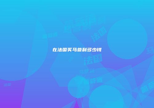 在法国买马爹利多少钱