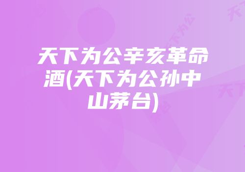 天下为公辛亥革命酒(天下为公孙中山茅台)