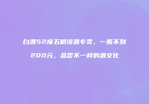 白酒52度五粮液酒专卖，一瓶不到200元，品尝不一样的酒文化