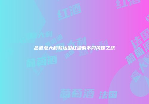 品尝意大利和法国红酒的不同风味之旅