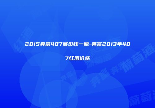 2015奔富407多少钱一瓶-奔富2013年407红酒价格