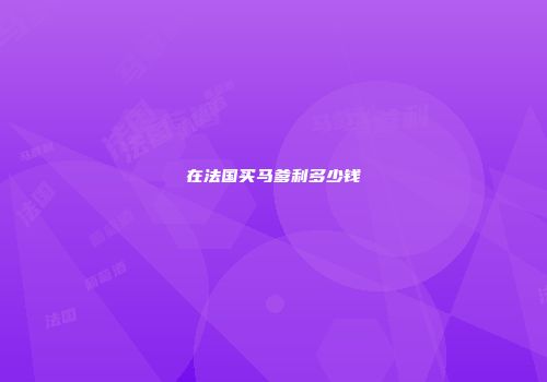 在法国买马爹利多少钱