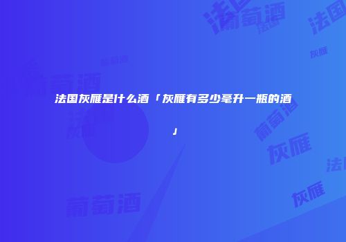 法国灰雁是什么酒「灰雁有多少毫升一瓶的酒」