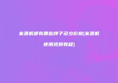 米酒机都有哪些牌子多少价格(米酒机使用视频教程)