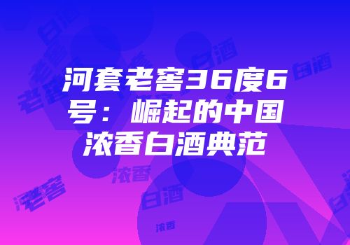 河套老窖36度6号：崛起的中国浓香白酒典范