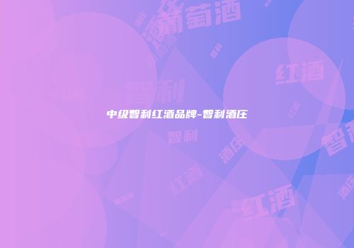 中级智利红酒品牌-智利酒庄