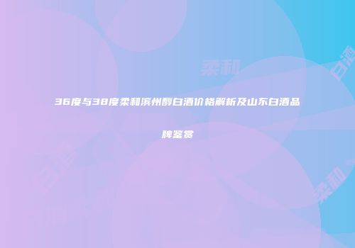 36度与38度柔和滨州醇白酒价格解析及山东白酒品牌鉴赏