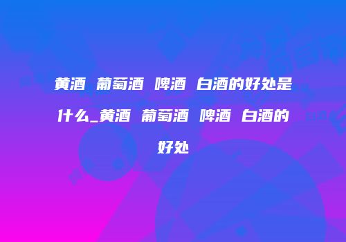 黄酒 葡萄酒 啤酒 白酒的好处是什么_黄酒 葡萄酒 啤酒 白酒的好处