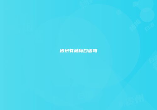 贵州有杨梅白酒吗