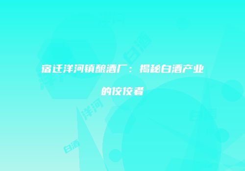 宿迁洋河镇酿酒厂：揭秘白酒产业的佼佼者