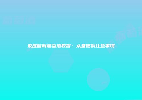 家庭自制葡萄酒教程：从基础到注意事项