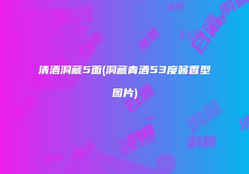 清酒洞藏5面(洞藏青酒53度酱香型图片)