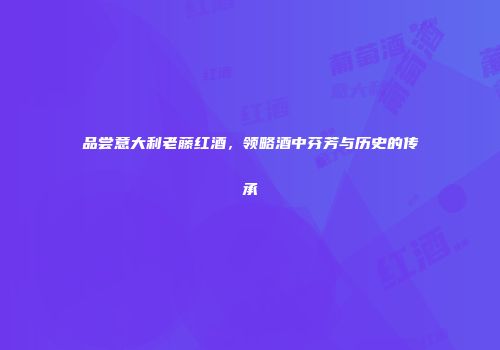 品尝意大利老藤红酒，领略酒中芬芳与历史的传承