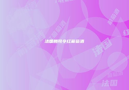法国腾司令红葡萄酒