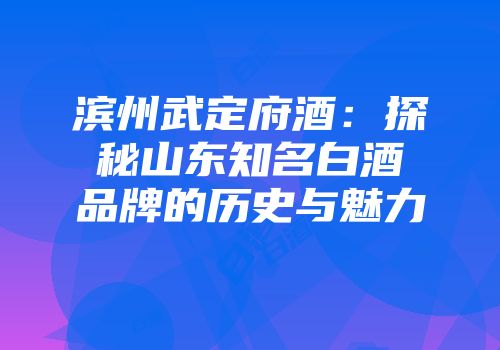 滨州武定府酒：探秘山东知名白酒品牌的历史与魅力
