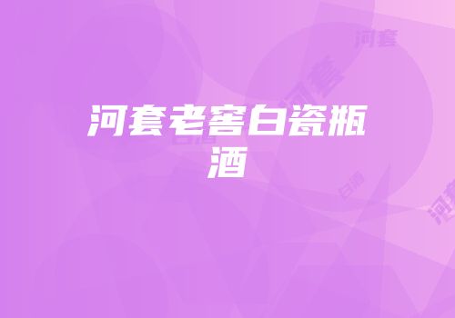 河套老窖白瓷瓶酒