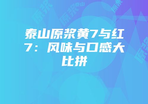 泰山原浆黄7与红7：风味与口感大比拼