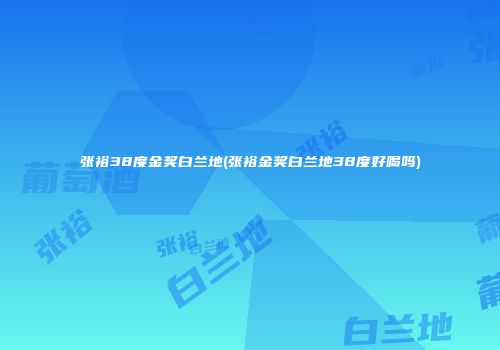张裕38度金奖白兰地(张裕金奖白兰地38度好喝吗)