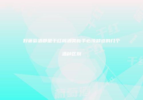 好葡萄酒都是干红吗酒类新手必须知道的几个酒种区别
