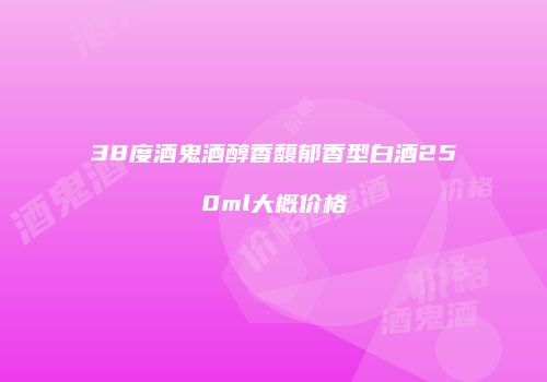 38度酒鬼酒醇香馥郁香型白酒250ml大概价格