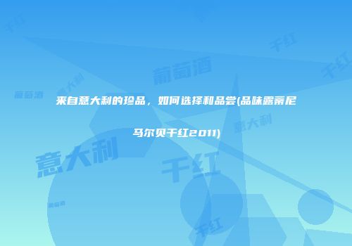 来自意大利的珍品，如何选择和品尝(品味露蒂尼马尔贝干红2011)