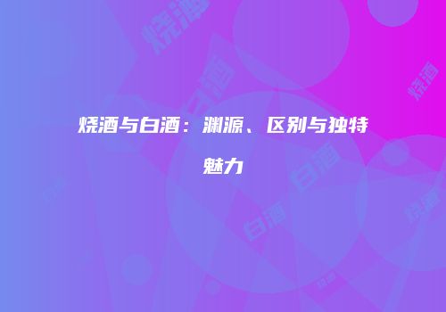 烧酒与白酒：渊源、区别与独特魅力
