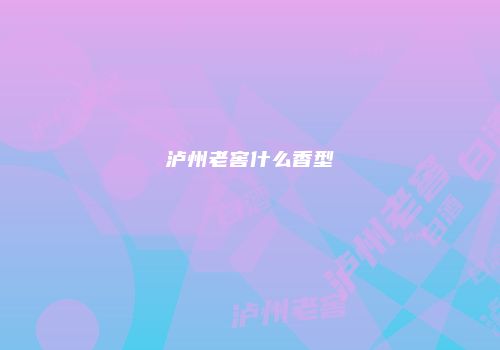 泸州老窖什么香型