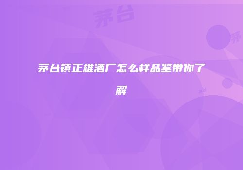 茅台镇正雄酒厂怎么样品鉴带你了解