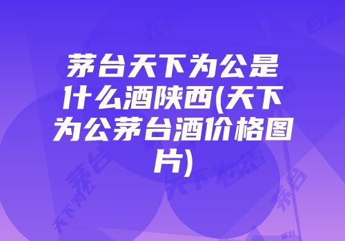 茅台天下为公是什么酒陕西(天下为公茅台酒价格图片)