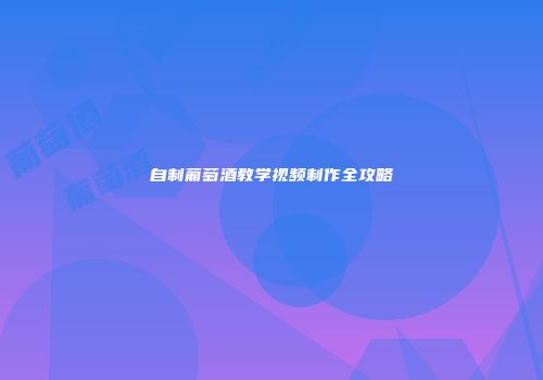 自制葡萄酒教学视频制作全攻略