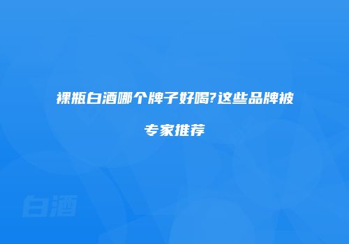 裸瓶白酒哪个牌子好喝?这些品牌被专家推荐